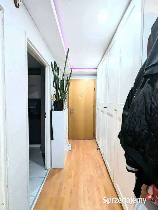 Mieszkanie 3 pokoje 472m balkon 2 piwnice Strzelce Opolskie