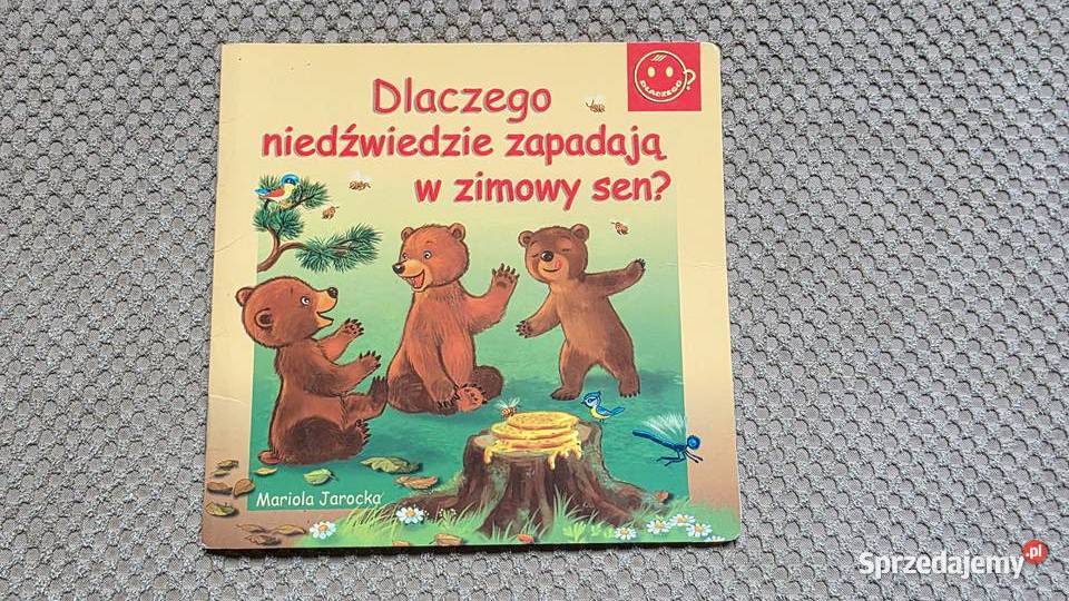 Dlaczego niedźwiedzie zapadają w zimowy sen Kraków