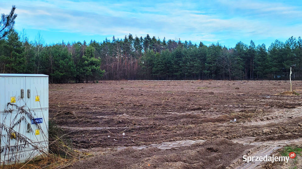 Sprzedam 1000 m2 Piskórka gm Prażmów BUDOWLANA mazowieckie sprzedam