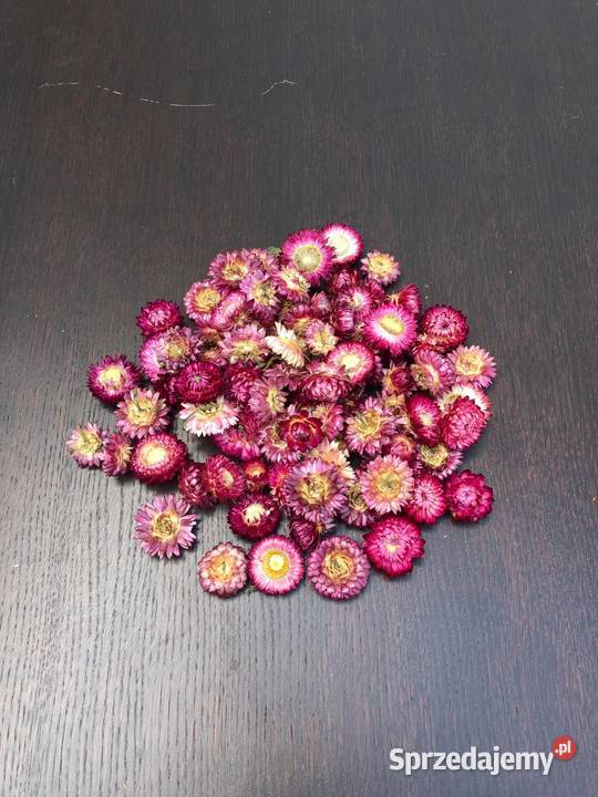 Naturalna LNICA zasuszona w pęczki zbóż