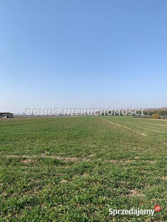 Działka 1577m2 Złotniki kanalizacja sprzedam