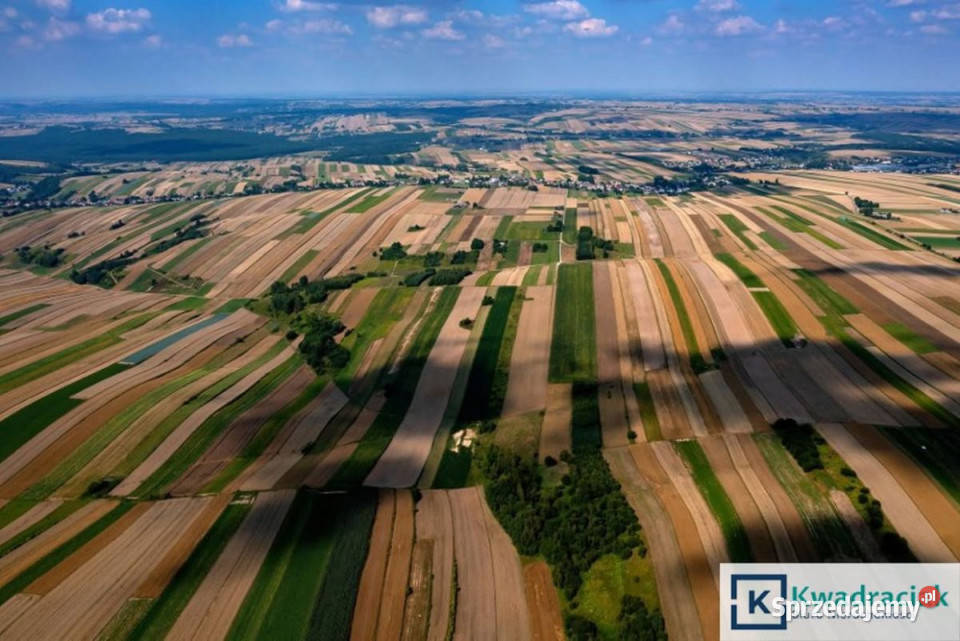 sprzedaży działki 9400m2 Łężyny podkarpackie