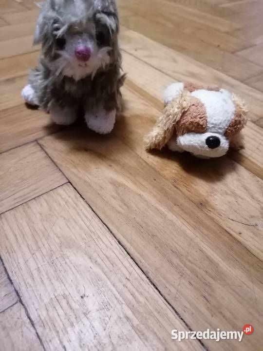 Mastoki 2 sztuki Gdańsk sprzedam