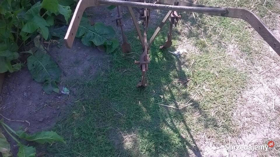 Pielnik konny z lat 40 50 ubiegłego wieku Warszawa