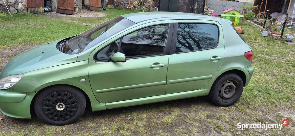 Sprzedam Peugeot 307 307 Sulechów sprzedam