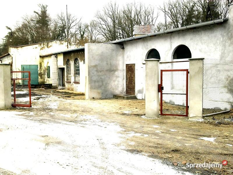 Hala magazyn 200 m2 Małomice