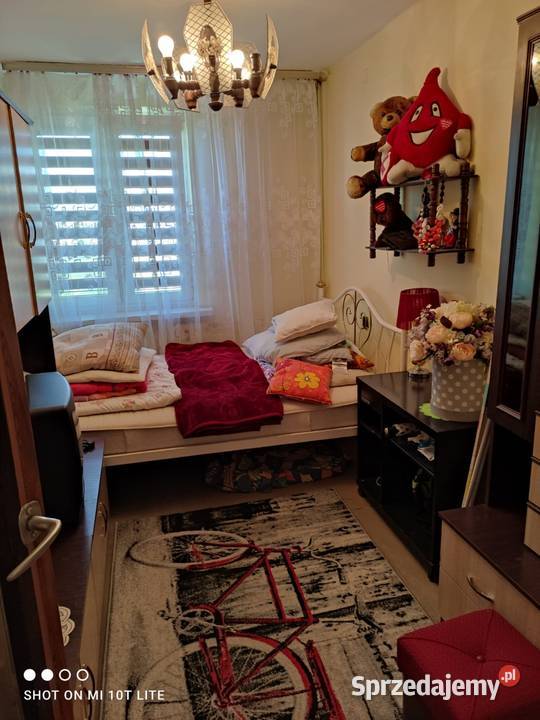 Sprzedam mieszkanie 2pokoje 372 m2 w Kutnie Sprzedaż łódzkie Kutno