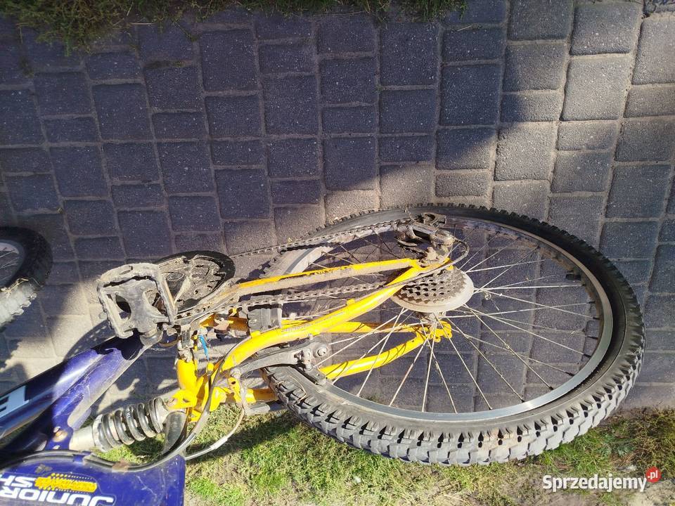 Rower mtb Chojno-Błota Wielkie