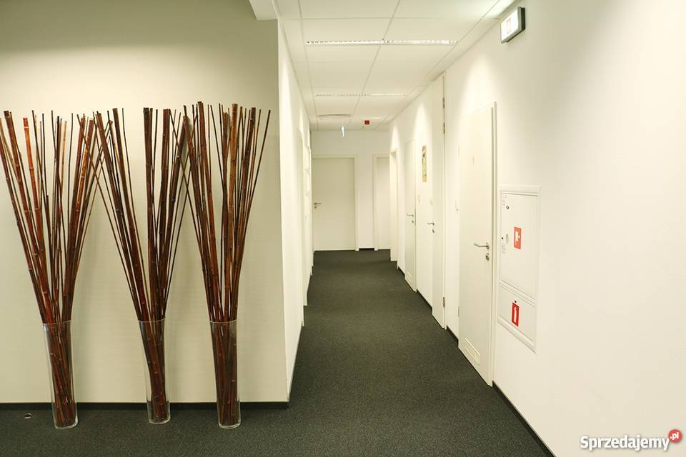 Mikrobiura w budynku klasy A plus na winda mazowieckie Warszawa