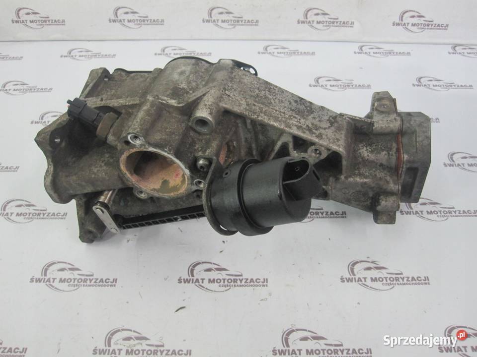 GIULIETTA 20 MJET 13r zawór EGR 55229740 sprzedam