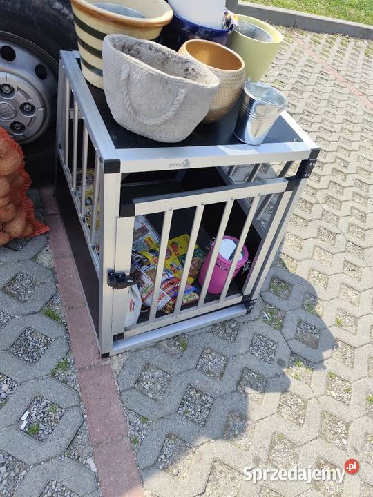Klatka psa do samochodu Chełm
