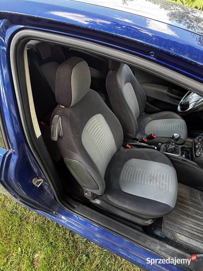Fiat Grande Punto 14 Moskurnia