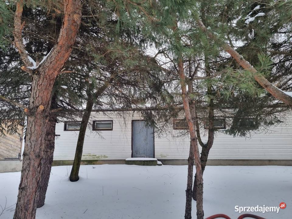 Lokal użytkowy wynajem Ilość pomieszczeń 7 Serniki