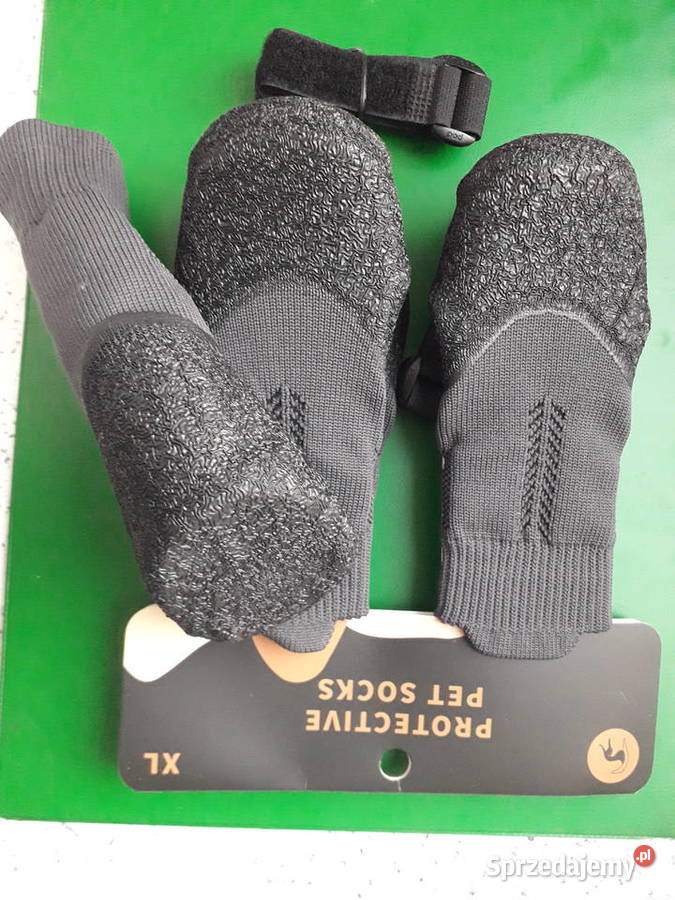 Buty nieprzemakalne psa Warszawa