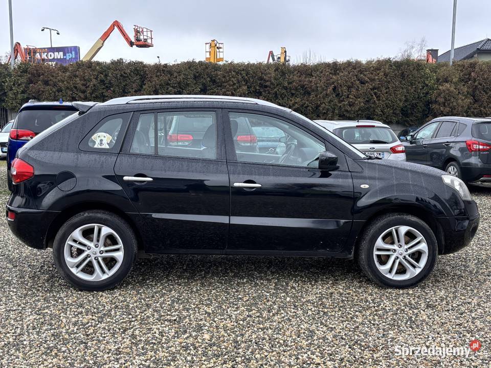 Renault Koleos Motoryzacja śląskie Paniówki