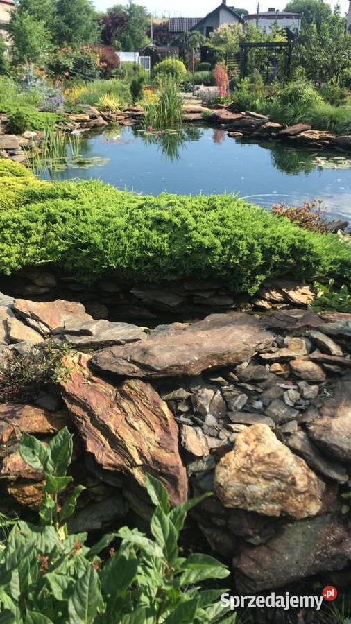 łupek skalniakowy do ogrodu Księżyce