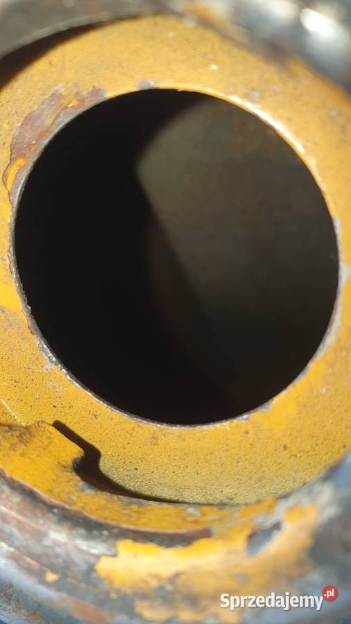 Ryś Żak zbiornik z kratką Dobrzejów