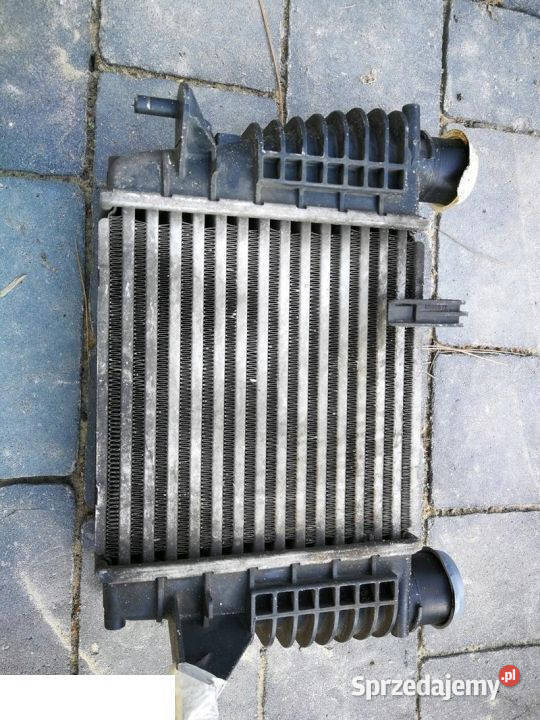 NISSAN JUKE 15DCI INTERCOOLER 14461EM00A lubelskie Kozubszczyzna