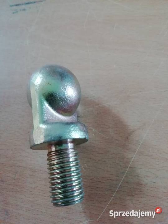 SWORZEŃ KULOWY TARGAŃCA