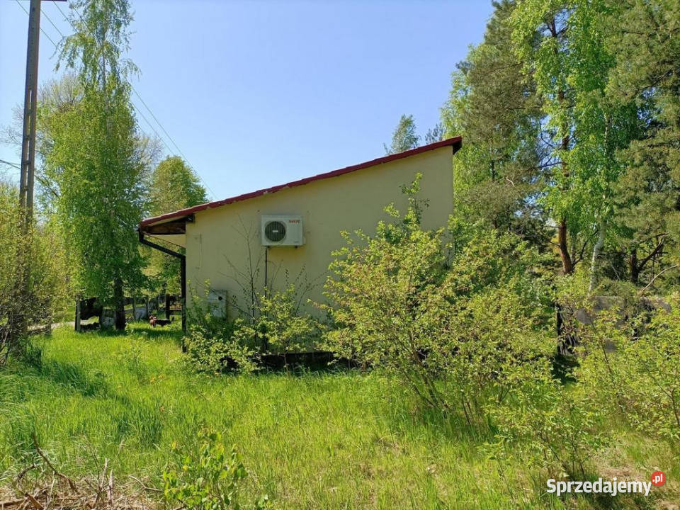 Dom na działce 4200 m2 w Gródku gm Policzna mazowieckie Gródek