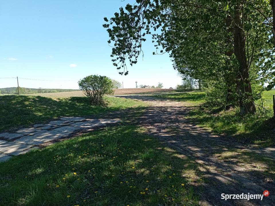 LEŚNICZÓWKA DWA DOMY NA WSI LAS PRZYRODA KLIMAT mieszkalny Chynów