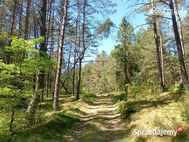 Działka 145300m2 Gostomie pomorskie