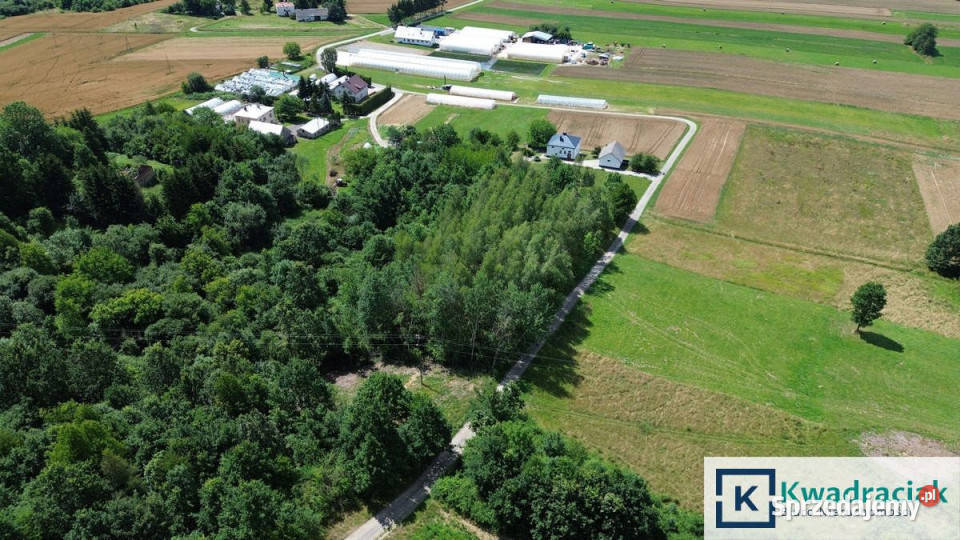 Działka Odrzykoń 1677m2