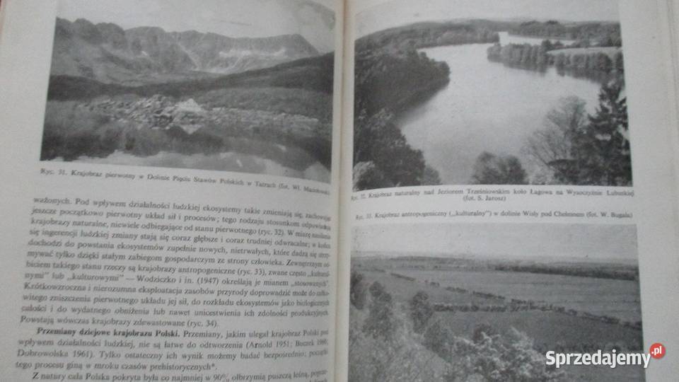 Szata roslinna Polski t1 Szafer Zarzycki1972r Łódź sprzedam