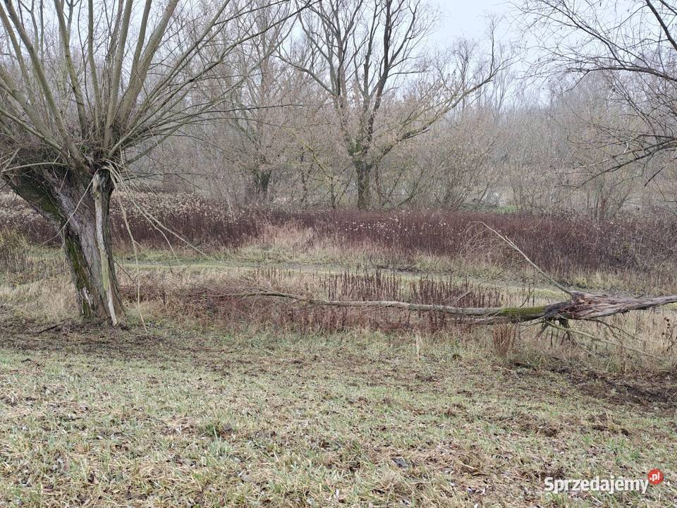 Syndyk sprzeda Glinki