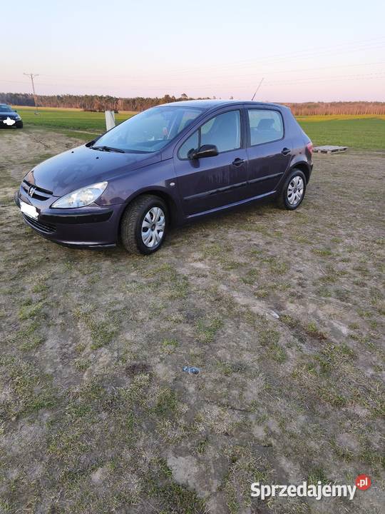 Peugeot 307 2003 16 benzyna Hatchback Annapol sprzedam