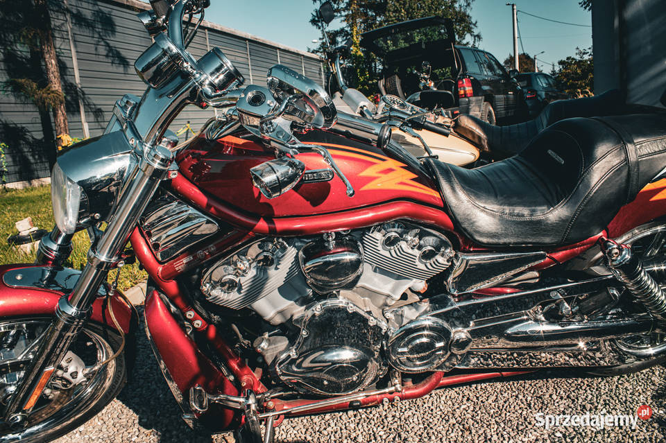 HARLEJ DAVIDSON VROD VRSCSE Tychy sprzedam