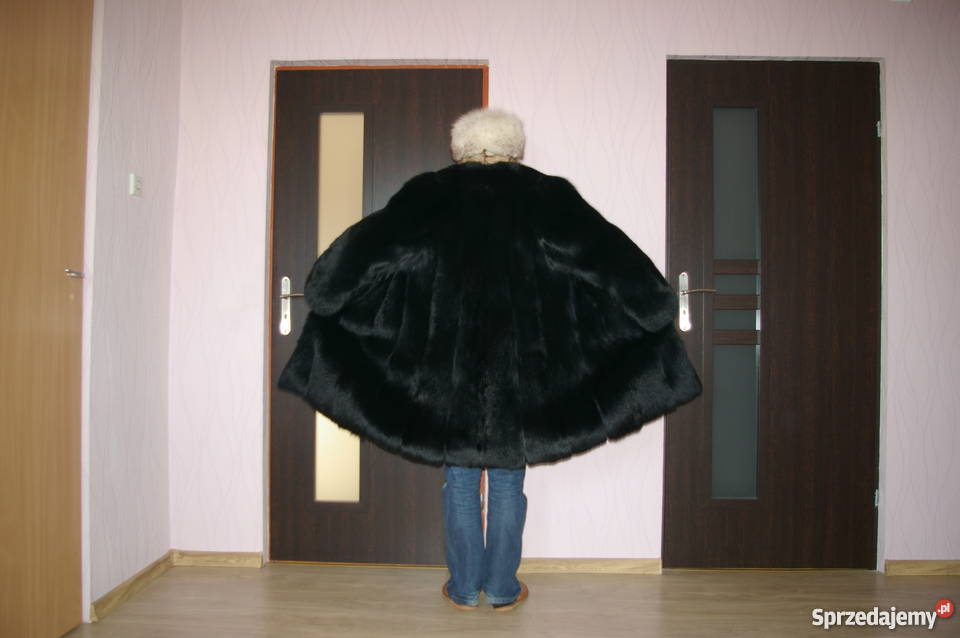 FUTRO Z LISA CZARNEGO Białystok