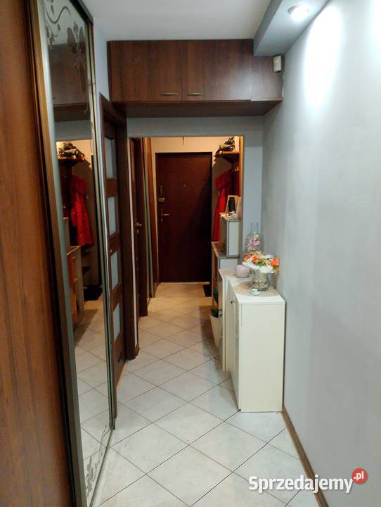 Wynajmę 3 pokojowe mieszkanie sieć Wynajem sprzedam