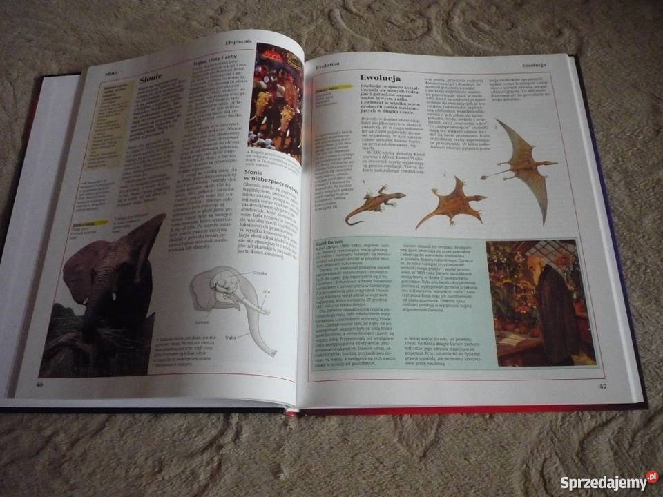 nowy Leksykon szkolny rośliny i zwierzęta przyroda Gdynia