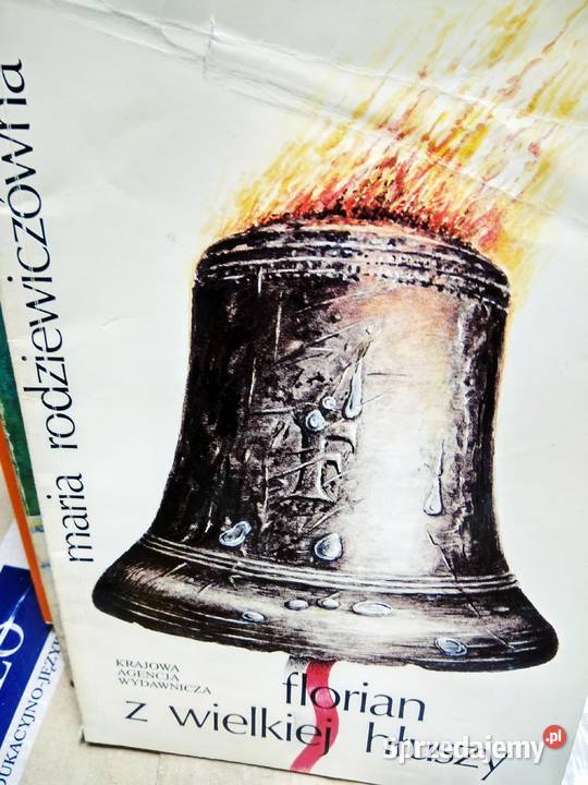 Florian z wielkiej głuszy Rodziewiczówna książki Warszawa