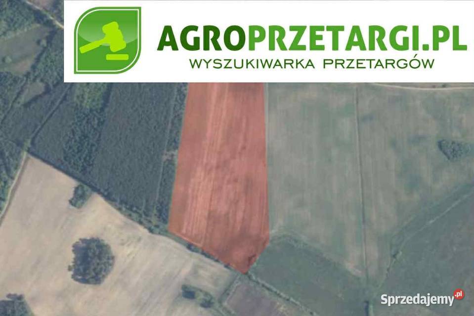 Dzierżawa 1077 ha gruntu rolnego 107700m2 Wałcz sprzedam
