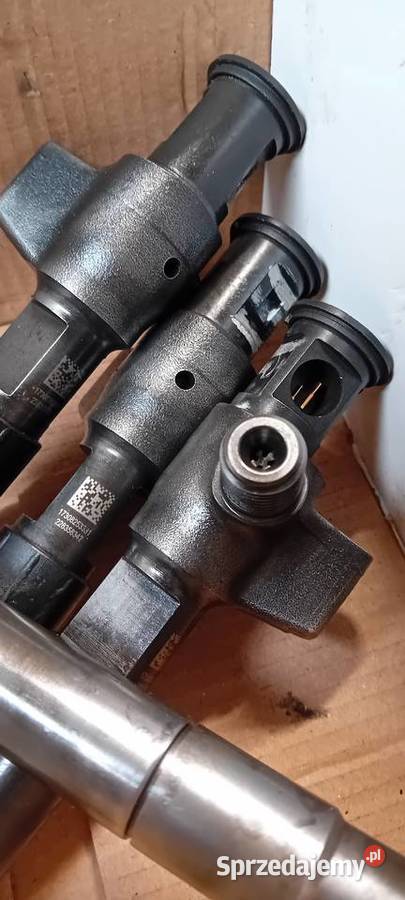 Wtryskiwacze Citroen Ds Ford Peugeot 20 blue hdi zachodniopomorskie Koszalin