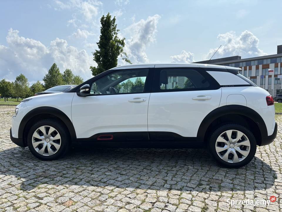 Citroen C4 Cactus I rej 2019 Salon I właściciel wspomaganie kierownicy C4 Cactus Iława