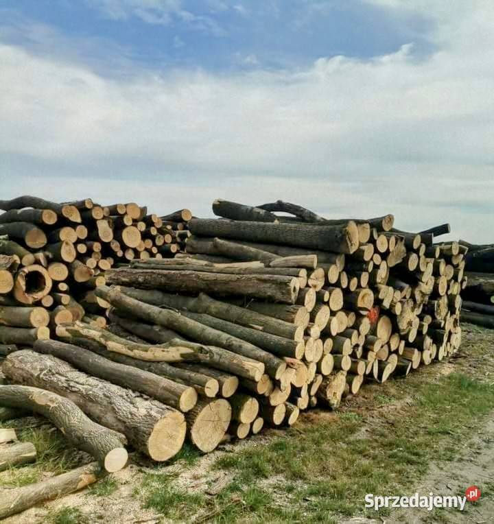 JesionDąb Pocięty na klocki 350M Połupany 400M Sobótka
