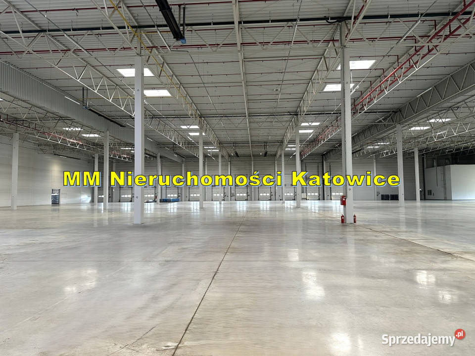 Hale do wynajęcia do 13000 m2 różne powierzchnie Ruda Śląska
