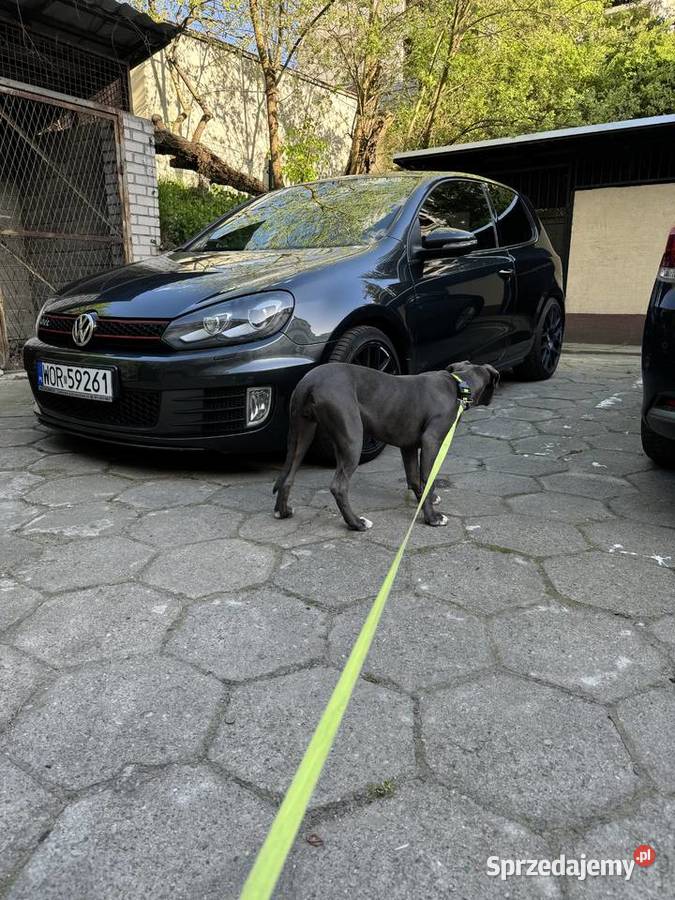 Golf 6 GTI zachodniopomorskie Stargard