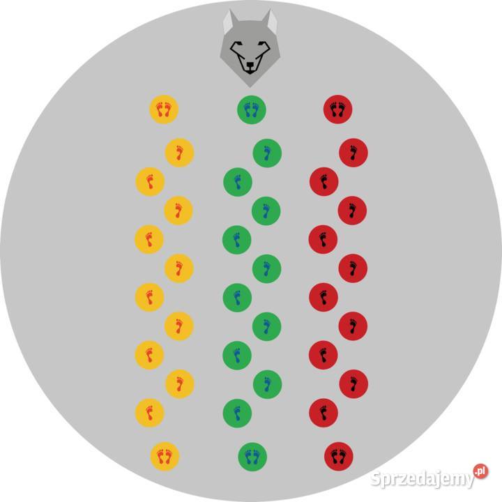 Wilk patrzy 01 gry podwórkowe Strefy Gier Poznań