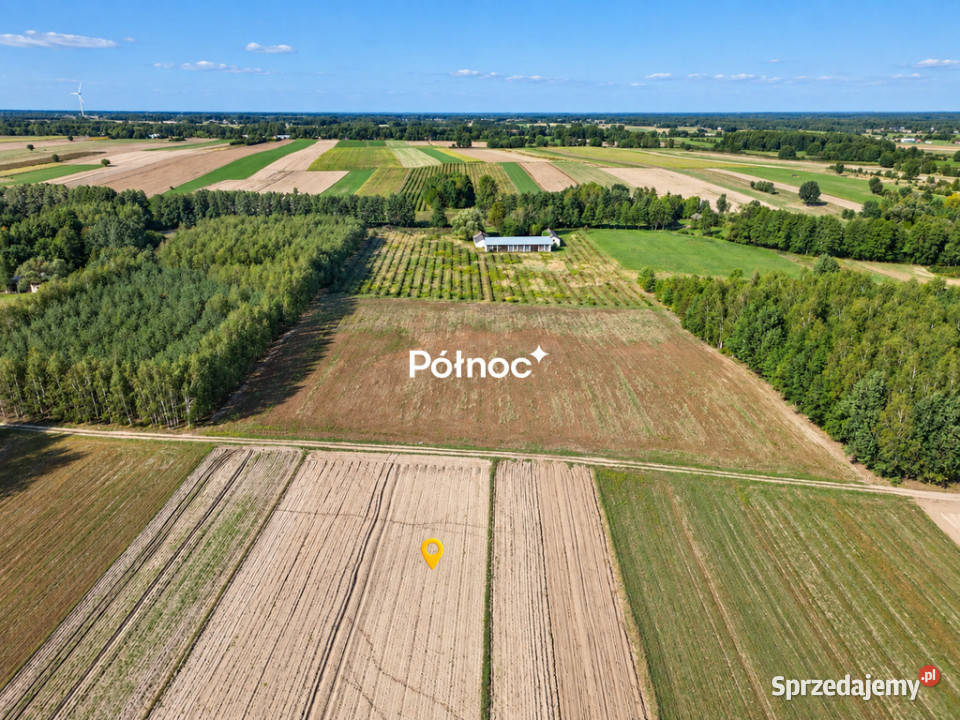 Zadbana działka rolna 293 ha Kamionka 38m Sprzedaż lubelskie
