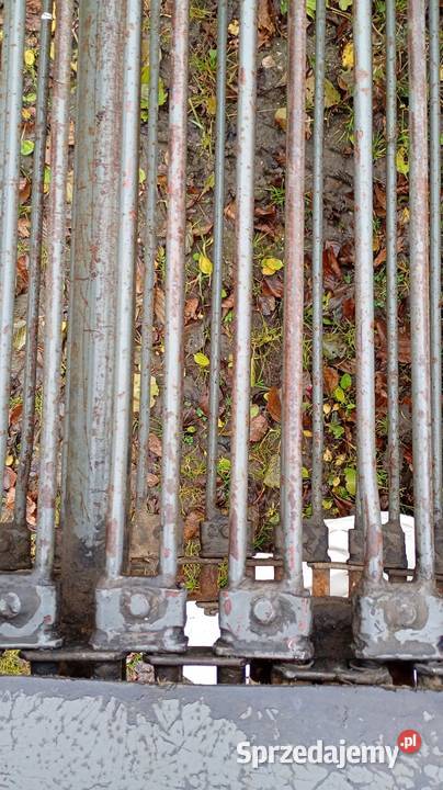 Kopaczka do ziemniaków Kopaczki Szydłów sprzedam