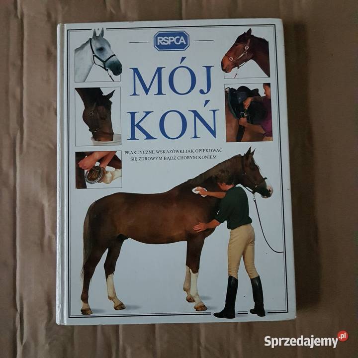 szczotki konia albumMój końapaszka jeździecka