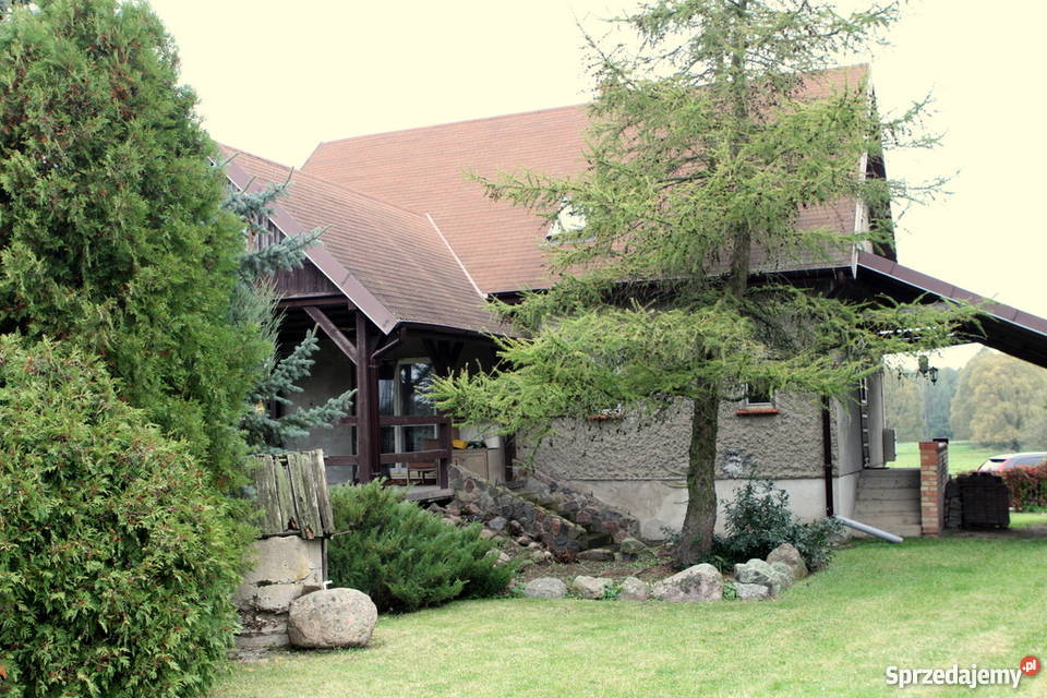 Siedlisko na Mazurach