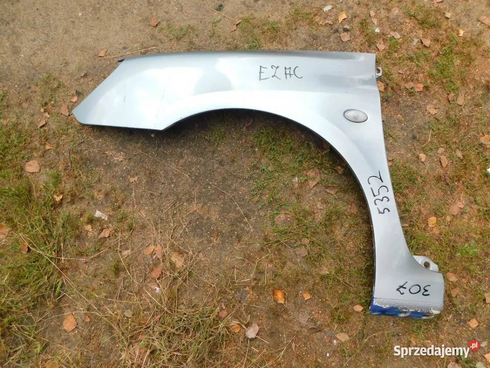 peugeot 307 błotnik kolor E2AC 5352 WYSYŁKA Pozostałe Pozostałe sprzedam