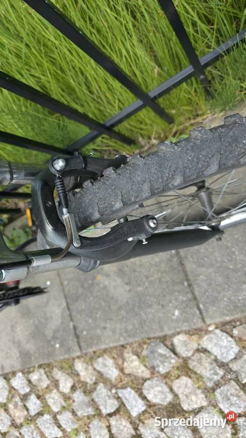 Rower na kołach 26 Zgorzelec sprzedam