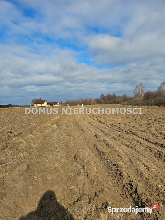 sprzedaży gruntu 4999m2 Rozworzyn