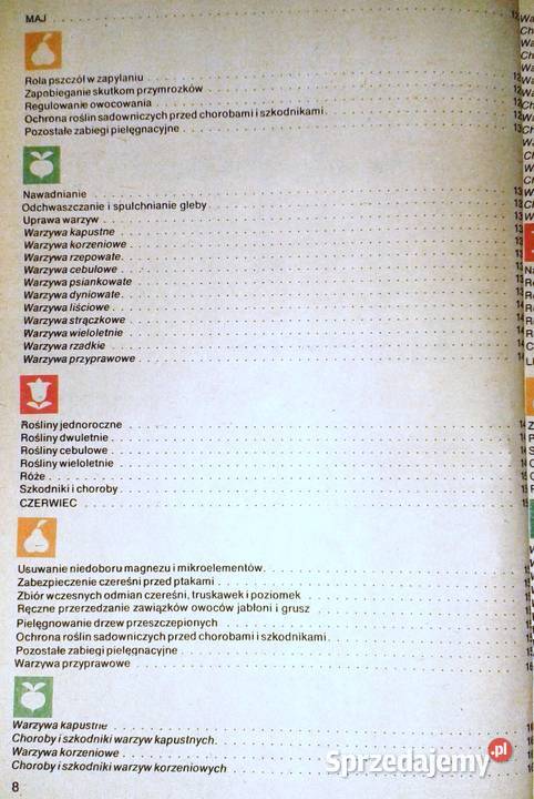 na działce D Haas Z Kawecki J Marcinkowski Chełm